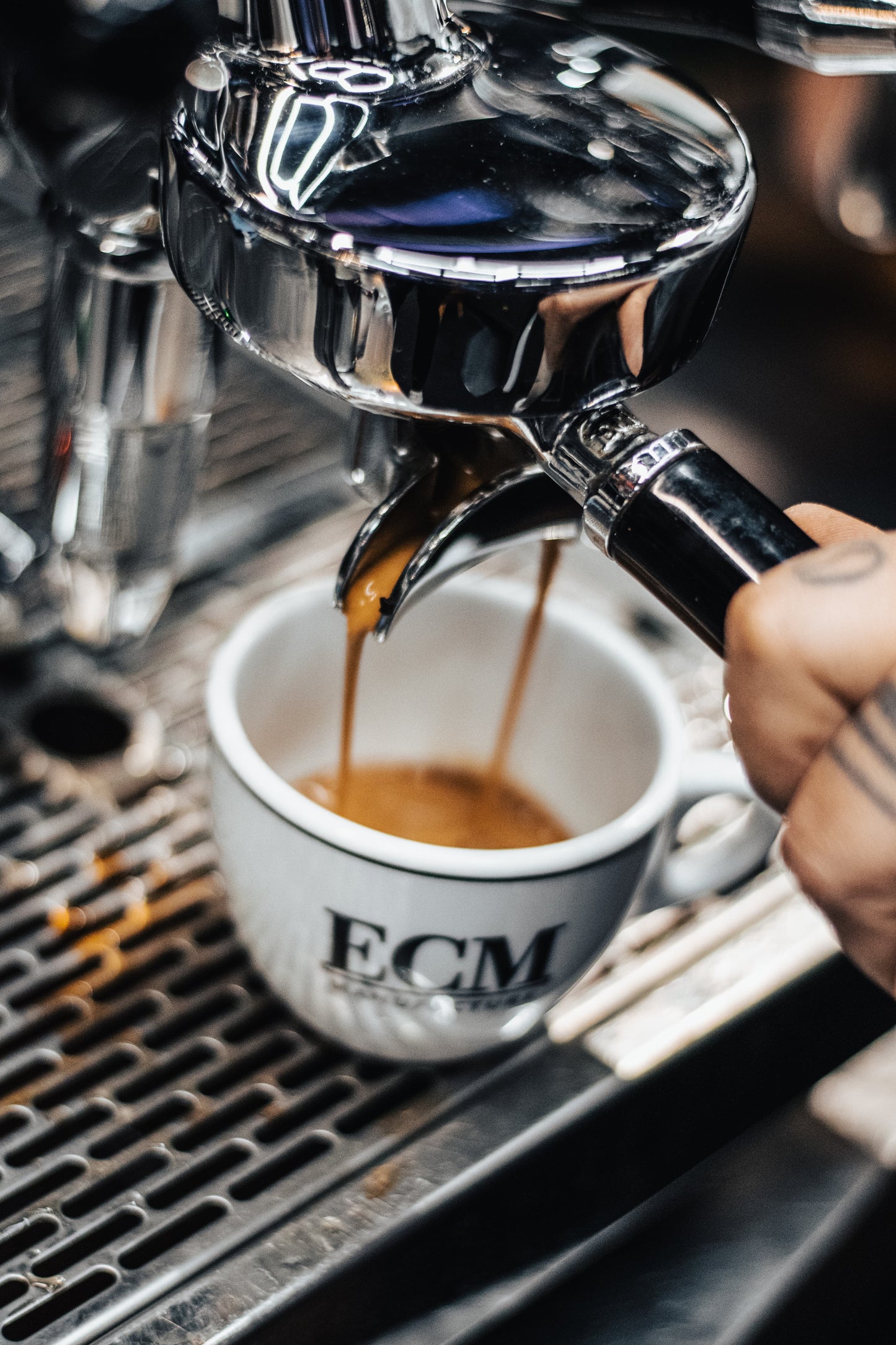 Espresso Forte 1000g, 100% Robusta, Intensität sehr kräftig - nemoskaffeeservice
