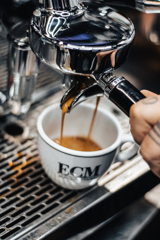 Espresso Forte 1000g, 100% Robusta, Intensität sehr kräftig - nemoskaffeeservice